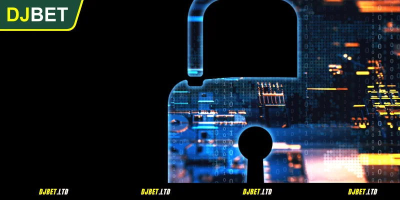 Direitos do Jogador sob a Política de Privacidade na DJBET